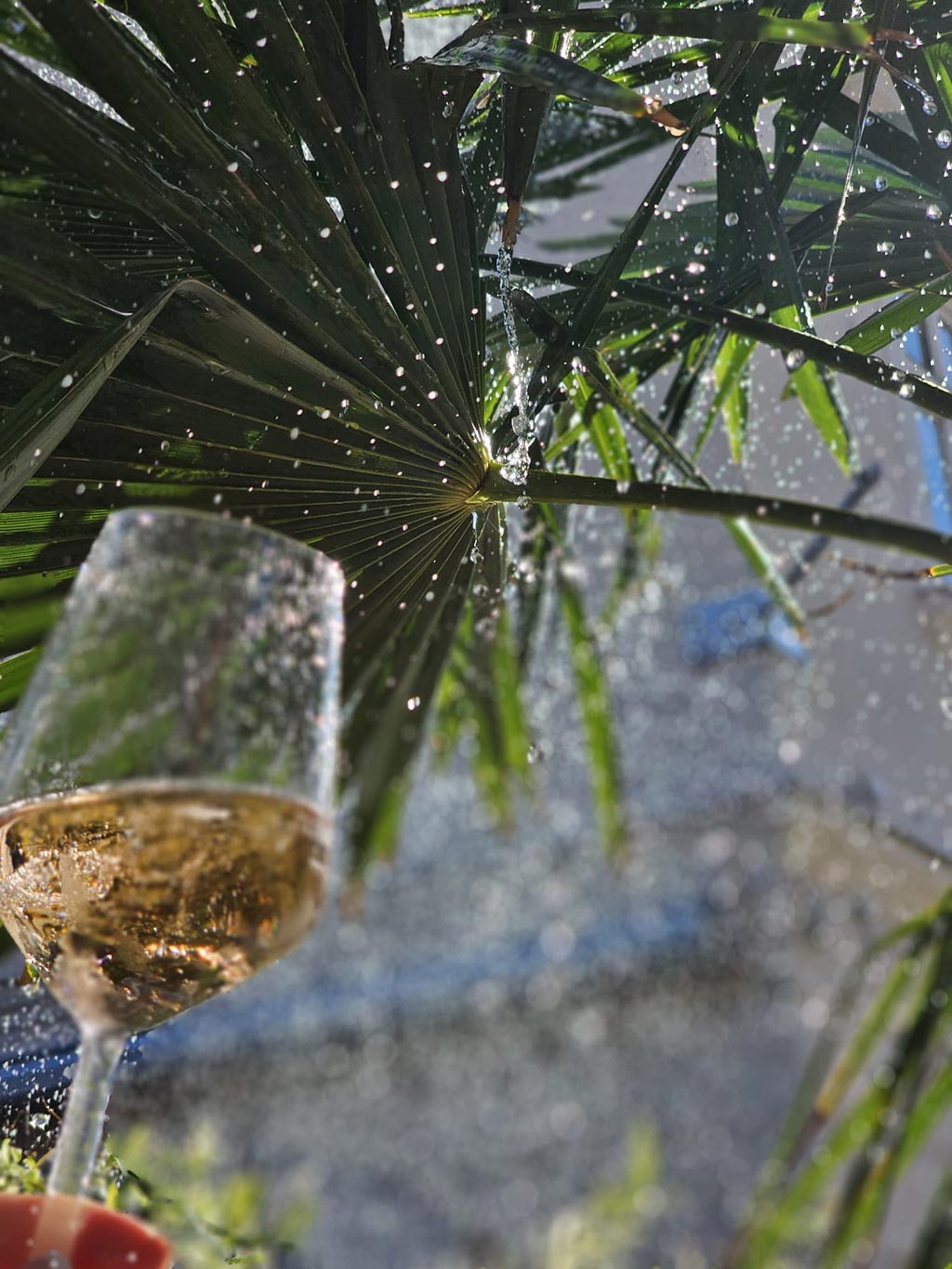Proseccoglas-im-Gastgarten